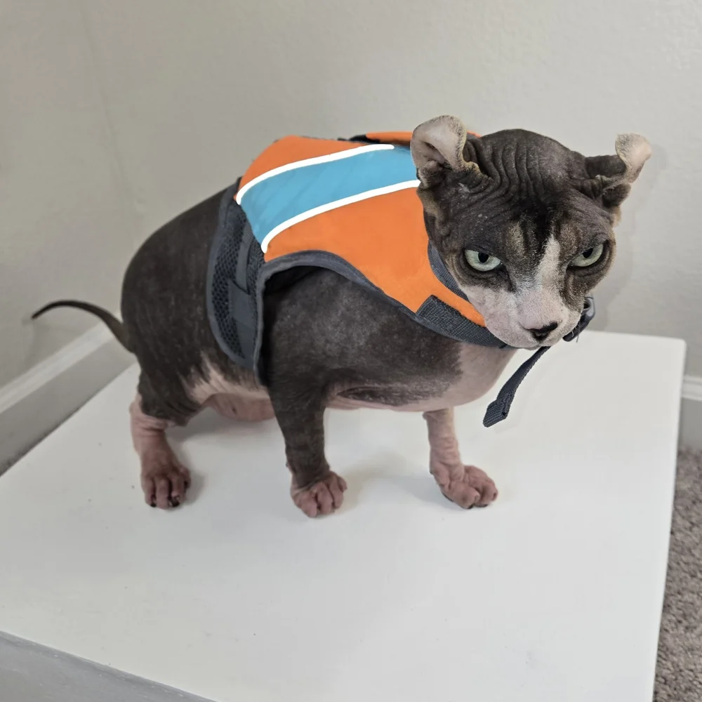 Orange and Blue Cat Life Jacket